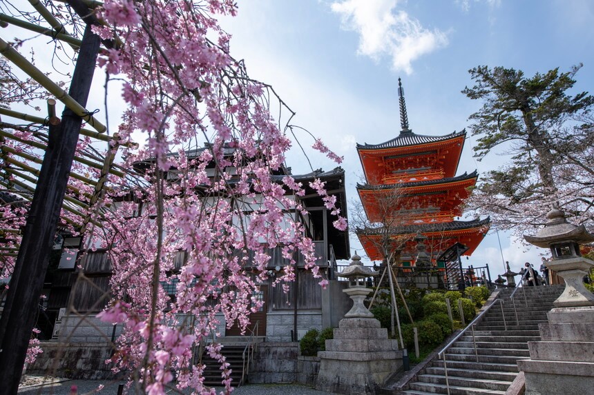 桜越しに見た清水寺にある三重塔の画像