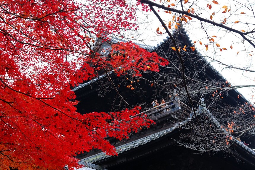 紅葉の時期の南禅寺の様子2