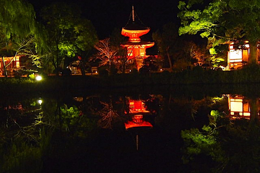 大覚寺のライトアップ