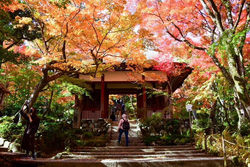 京都を巡る